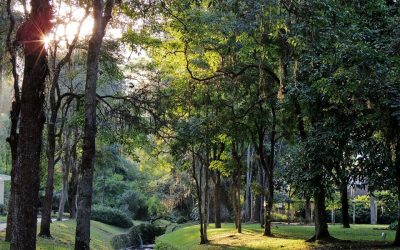 VI Encontro dos Jardins Históricos recebe inscrições de trabalhos