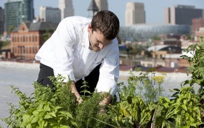 Agricultura urbana abre novo campo de atuação para arquitetos e urbanistas