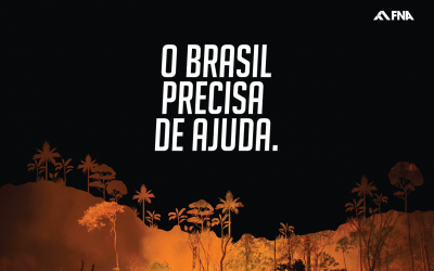 Alerta sobre a devastação e as queimadas no Pantanal