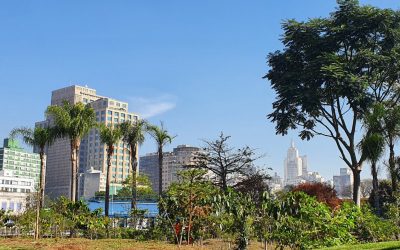 Projeto Gentileza Urbana quebra o cinza do centro de São Paulo