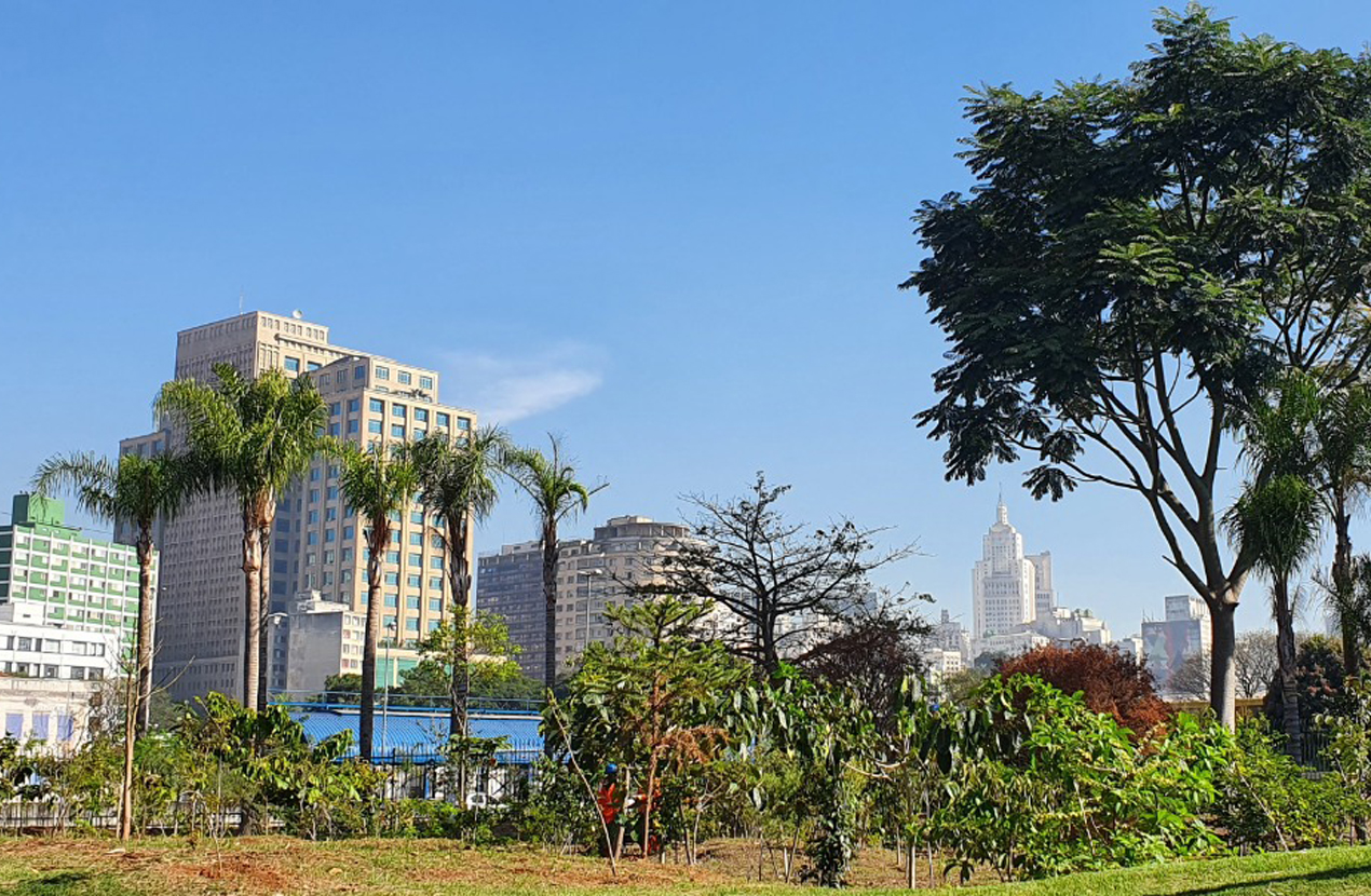 Projeto Gentileza Urbana quebra o cinza do centro de São Paulo