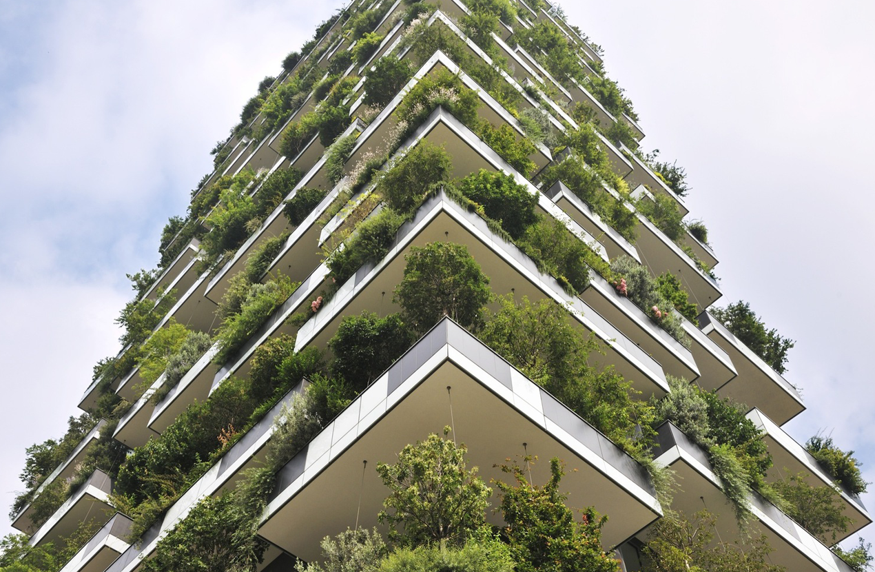 Verticalização verde: impactos no nível do solo e na paisagem urbana